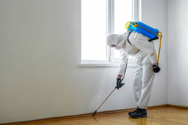 Best Emergency Pest Control  in Rshfield Hills, MA