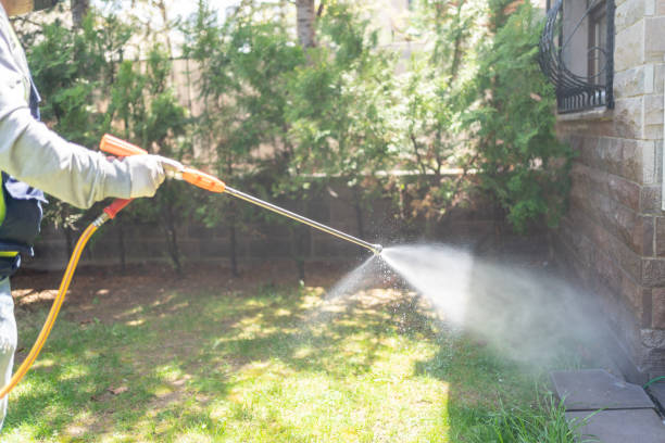 Best Mosquito Control Services  in Rshfield Hills, MA