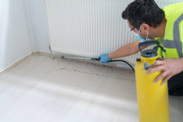 Best Pest Control Near Me  in Rshfield Hills, MA