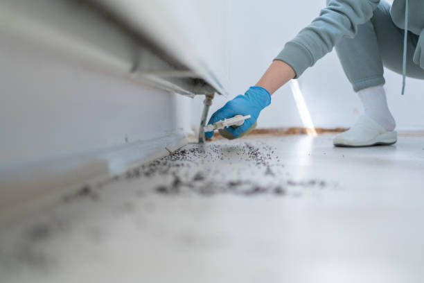 Best Bed Bug Extermination  in Rshfield Hills, MA
