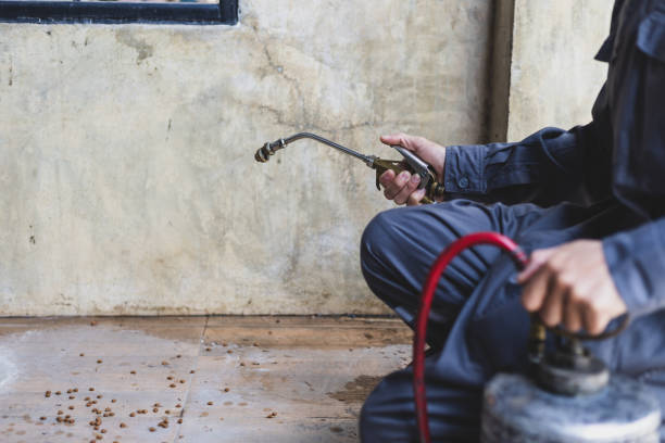 Best Pest Control for Businesses  in Rshfield Hills, MA